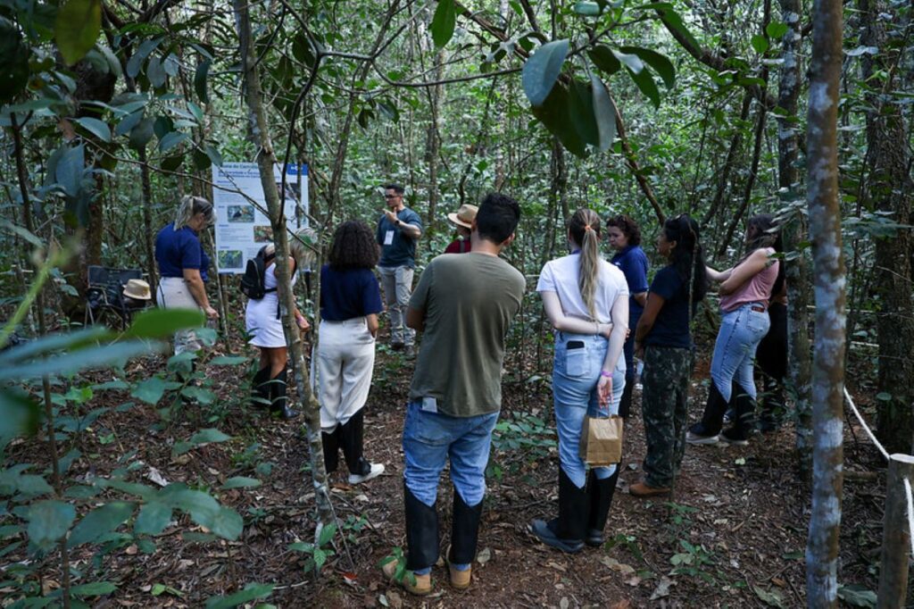 Trilha do Cerradão destaca a importância dos recursos naturais para o público na Feira Brasil na Mesa