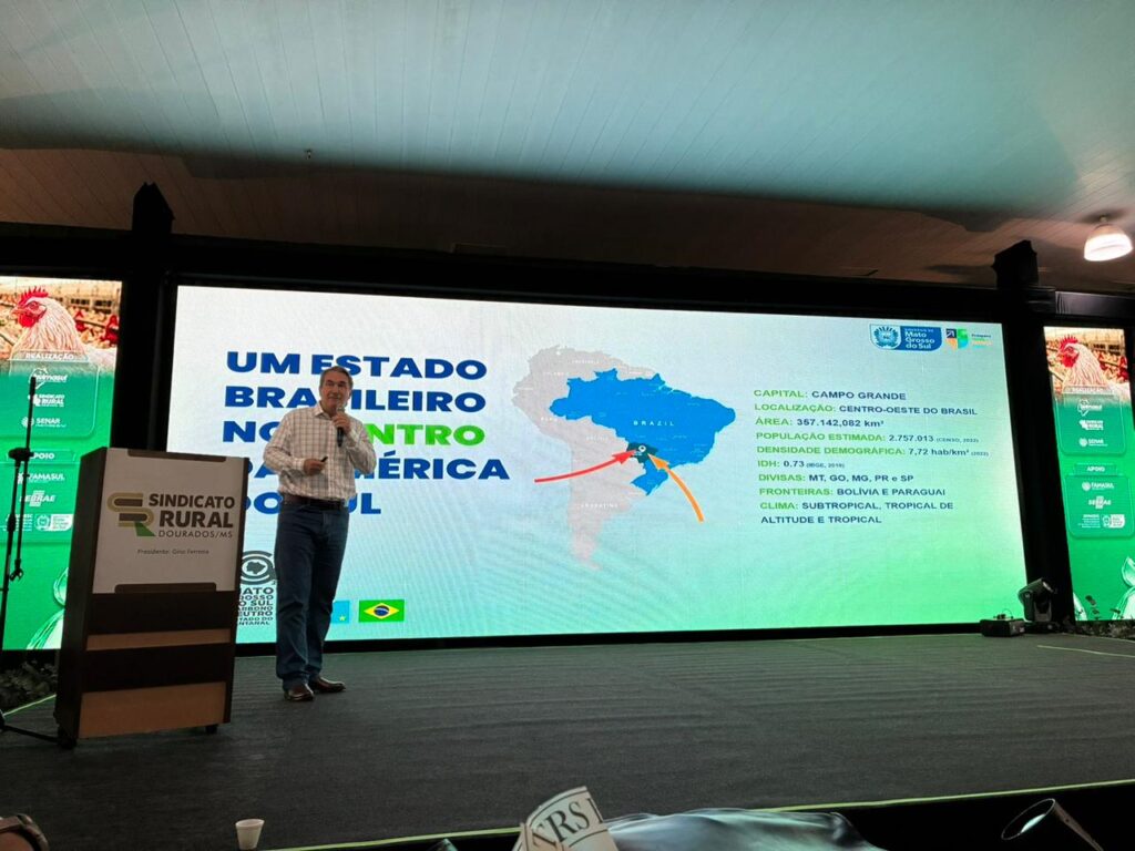 Avicultura de MS ganha força com incentivos fiscais, novos investimentos e expansão industrial
