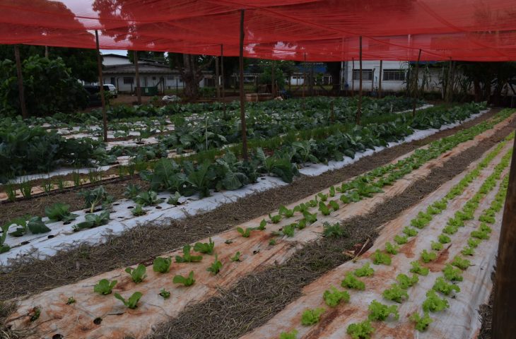 Tecnologia no campo avança além das máquinas e aproxima jovens da ciência em assentamento de MS