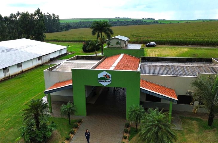 Da pesquisa à lavoura: Fundação MS transforma ciência em decisões mais seguras para o agro